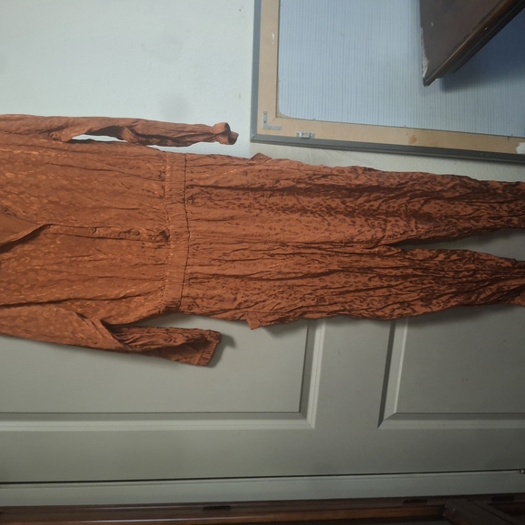 Vibrant Orange Jumpsuit with Silky Relaxed Fit - Picture 7 of 7